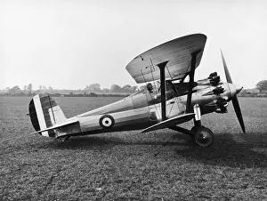 Bristol Bulldog
