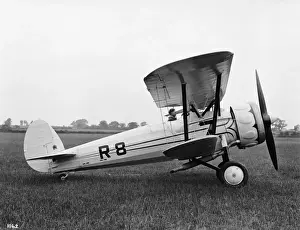 Bristol Bulldog