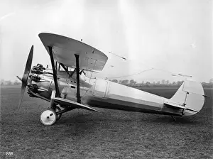 Bristol Bulldog II (American) 1929