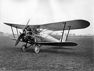 Bristol Bulldog II (American) 1929