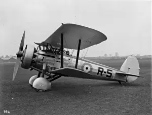 Iiia Prints: Bristol Bulldog IIIA R-5 fitted with a Mercury IVS 2 radial