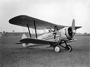Bristol Bulldog IVA R-8 fitted with Perseus IA radial
