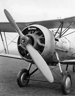 Bristol Bulldog IVA R-8 fitted with Perseus IA radial
