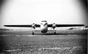 Bristol Freighter 31