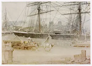 Bristol / Harbour / 1903