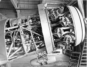 Bristol Hercules X 14-cylinder radial installation