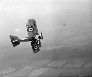 Bristol Scout D 8980