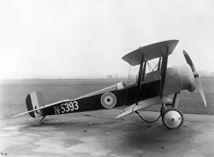Bristol Scout D N5393