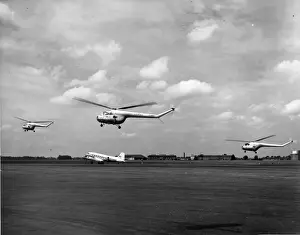 Three Bristol Sycamores (a Mk3 and two Mk3As)