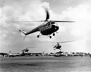 Three Bristol Sycamores (a Mk3 and two Mk3As)
