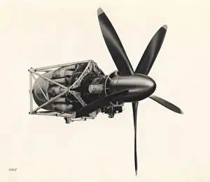 Bristol Theseus I turboprop