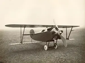 Babe Prints: Bristol Type 30 Babe I