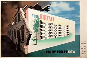 Terrace Collection: Your Britain - Fight for it NOW