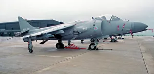 Harrier Prints: British Aerospace Sea Harrier FA. 2 ZH796