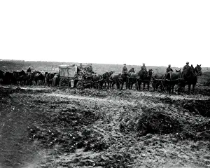 British ambulance and horses, Western Front, WW1