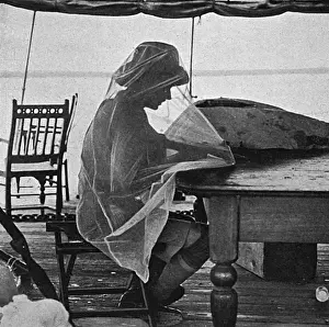 Correspondence Prints: British Army in Mesopotamia, protection from insects, WW1