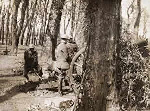 British artillerymen in a wood, Western Front, WW1