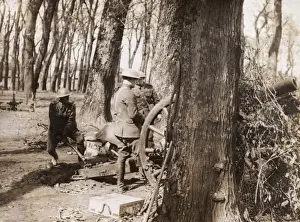 Artillerymen Prints: British artillerymen in a wood, Western Front, WW1