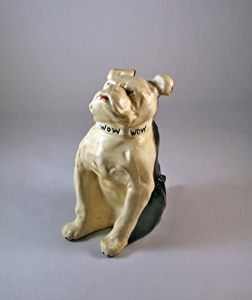 Images Dated 17th January 2012: British bulldog with Bow, Bow, Bow around his neck