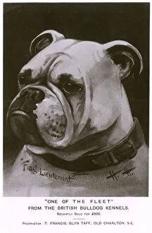 Expensive Gallery: British Bulldog - One of the Fleet - The Flag Lieutenant'