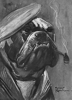 British bulldog, WW1