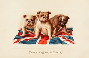 Defenders Gallery: Three British bulldogs on a greetings card