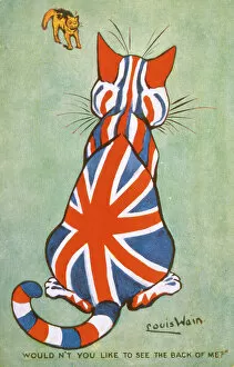 Images Dated 26th October 2011: British Cat Protects