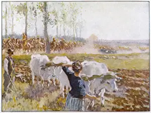 British Cavalry Advance