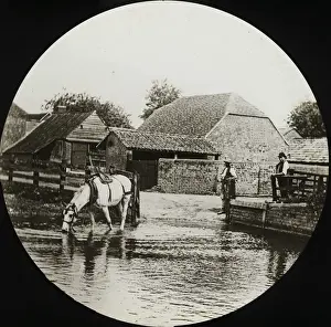 Pastoral Prints: British Country Scene - Horse drinking from water
