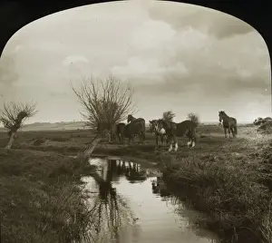 Pastoral Prints: British Country Scene - By the stream