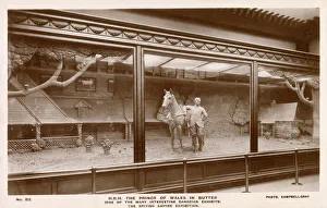 British Empire Exhibition - The Canadian Pavilion. Statue of Edward, Prince of Wales, carved in butter! Date: 1924