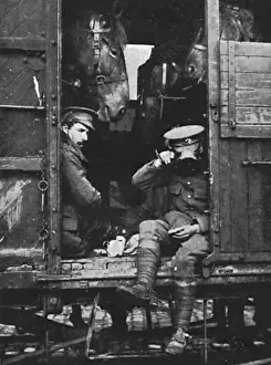 British Expeditionary Force