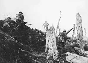 British Front in France 1917