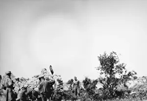 British and French troops at Gallipoli WWI