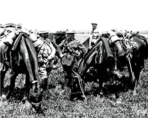 Graze Prints: British and French troops grazing horses, WW1