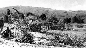 British guns camouflaged from the range-seeking German airmen