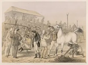British horse race meeting in India