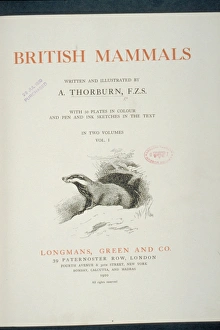 British Mammals Title Page British Mammals Title Page