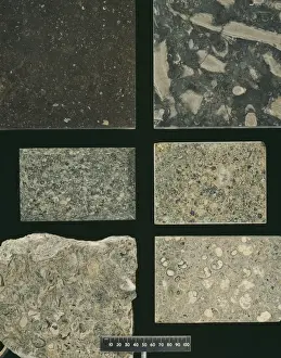 Polished Prints: British marble specimens