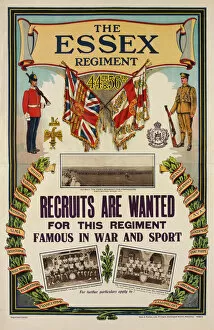 Essex Collection: British Military Recruitment Poster, WW1