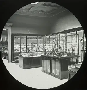 Numbered Prints: British Museum Bronze Room