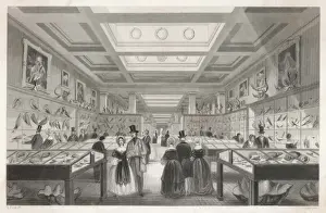 British Museum Zoologica