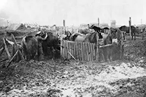 Corrugated Prints: British service stable on Western Front, WW1