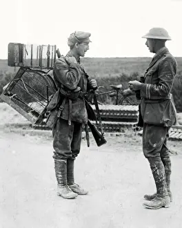 Cages Prints: British soldier with birdcages, Western Front, WW1
