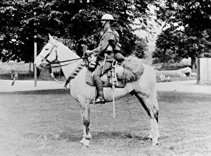 WWI Animals Gallery: British soldier on horseback, WW1