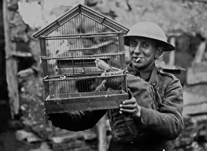 British soldier with rescued canaries, Western Front, WW1
