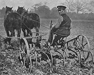 Shortage Prints: British soldier working on the land, WW1