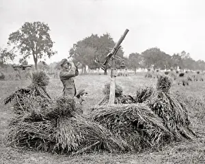 Camouflaged Prints: British soldiers with anti-aircraft gun, Western Front, WW1