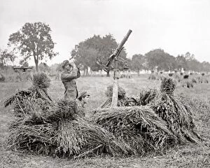 Anti Gallery: British soldiers with anti-aircraft gun, Western Front, WW1