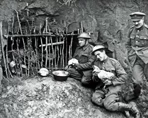 British soldiers with chicken house in trench, WW1